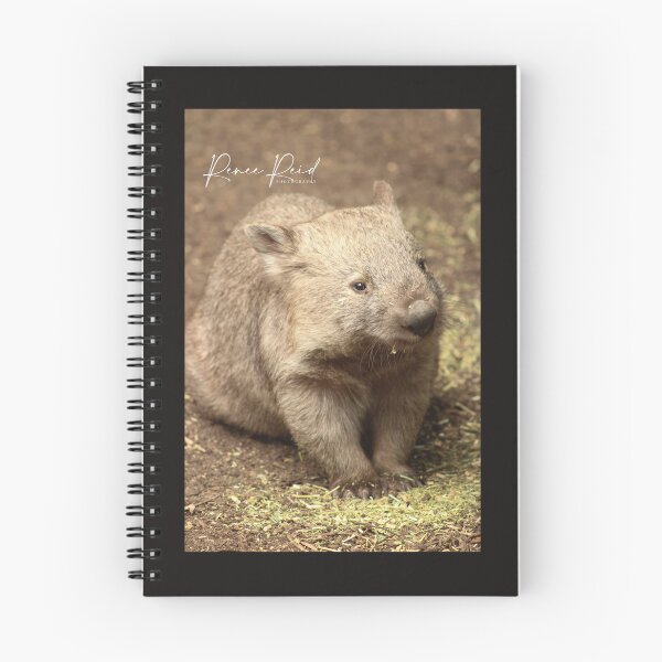 Item preview, Wombat Featherd designed and sold by RREID84.