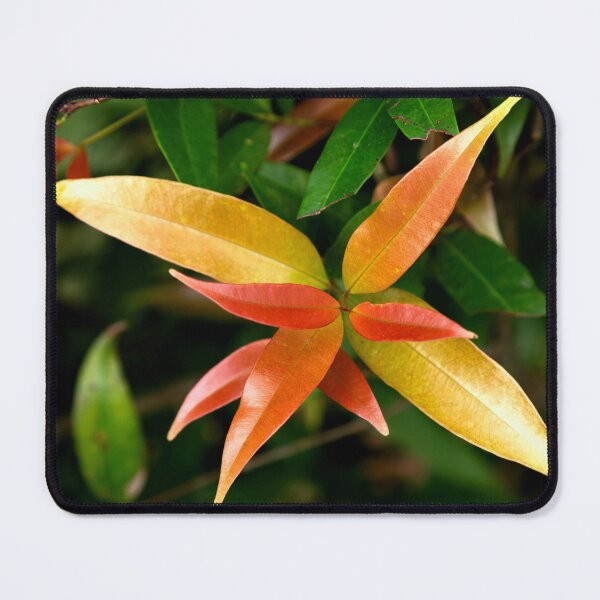 Item preview, leaf symmetry designed and sold by EmmePonsImages.