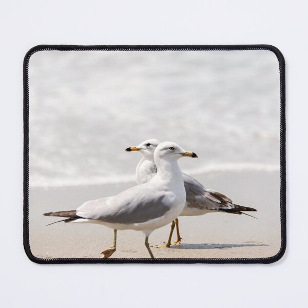 Item preview, Two Seagulls on the Beach designed and sold by Amanda Abel.