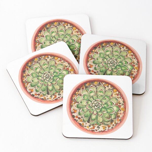 Item preview, Radial Echeveria  designed and sold by Anglwngs111.