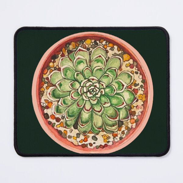 Item preview, Radial Echeveria  designed and sold by Anglwngs111.