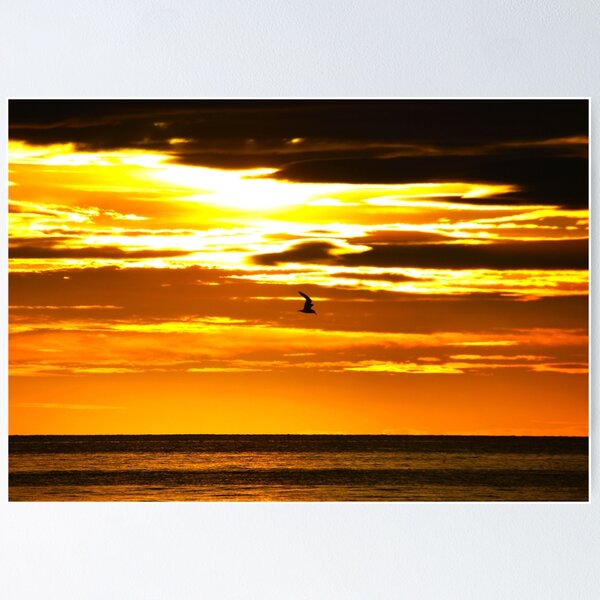 Item preview, DAWN FLYER designed and sold by Asoka.