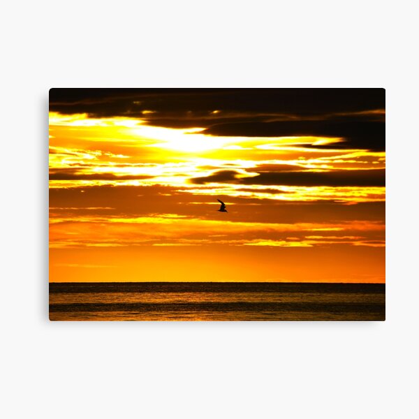 Item preview, DAWN FLYER designed and sold by Asoka.