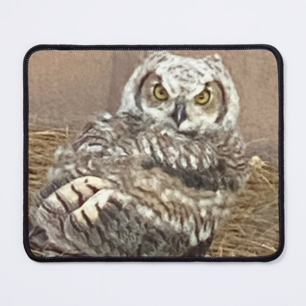Item preview, Owl designed and sold by pinkyjainpan.