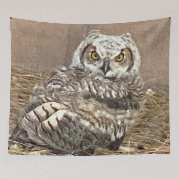 Item preview, Owl designed and sold by pinkyjainpan.
