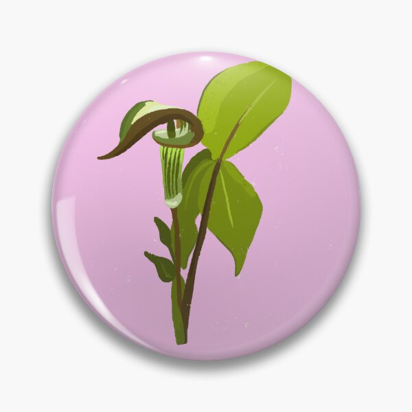 Item preview, Jack-in-the-pulpit Native Plant Cute Art Drawing designed and sold by ShannonSArtwork.