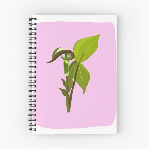 Item preview, Jack-in-the-pulpit Native Plant Cute Art Drawing designed and sold by ShannonSArtwork.