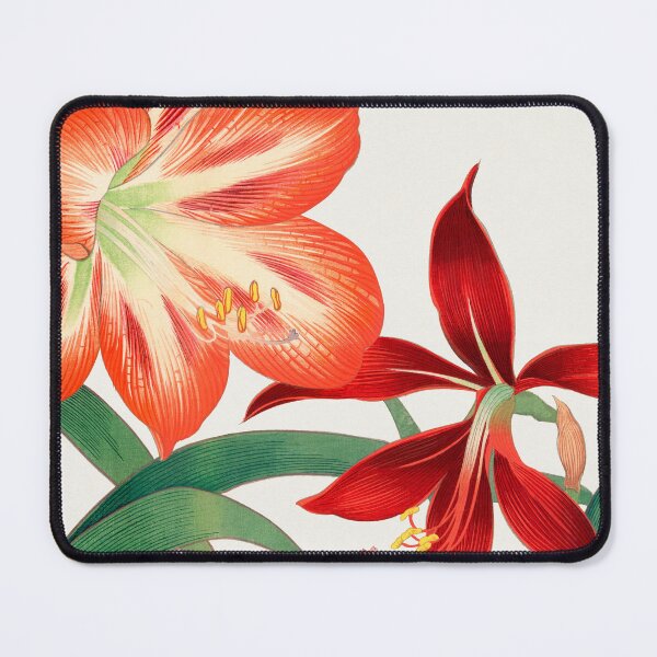 Item preview, Vintage Amaryllis Flower from Seiyô SÔKA ZUFU by Tanigami Kônan 1917 designed and sold by PureVintageLove.