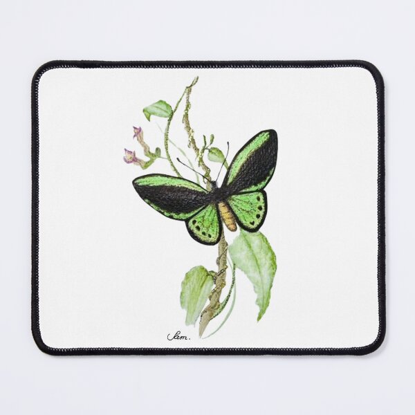 Item preview, Watercolour Richmond Birdwing Butterfly designed and sold by Sam Morton - Heart Art.