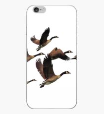 Flying Canadian Geese iPhone Case