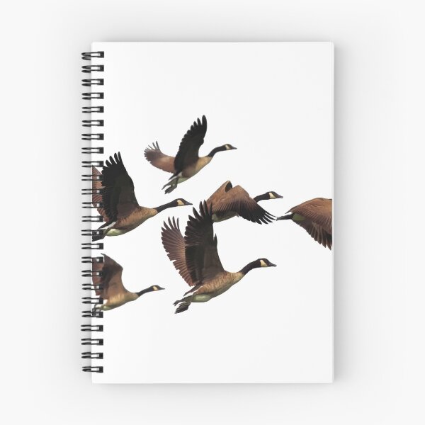 Item preview, Flying Canadian Geese designed and sold by obviouslogic.