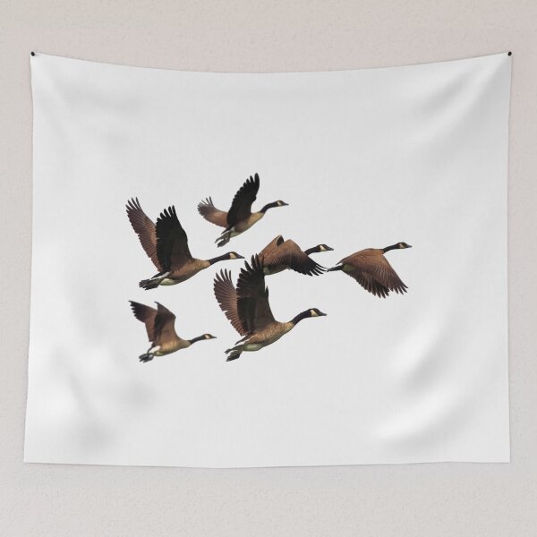 Item preview, Flying Canadian Geese designed and sold by obviouslogic.