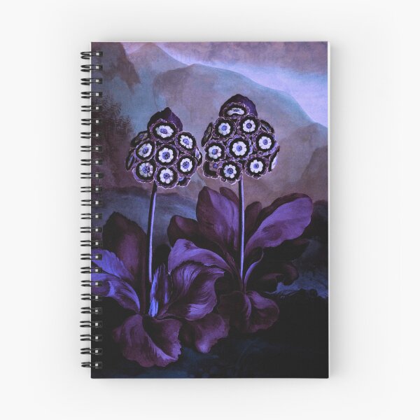 Item preview, Deep Purple Blue Auriculas : Temple of Flora designed and sold by PureVintageLove.