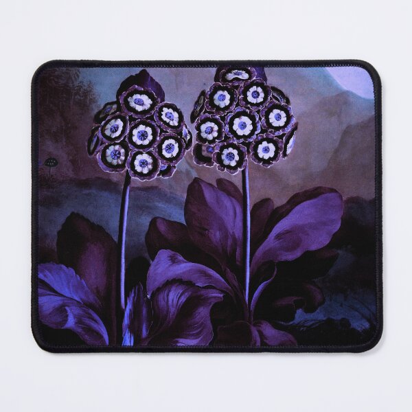 Item preview, Deep Purple Blue Auriculas : Temple of Flora designed and sold by PureVintageLove.
