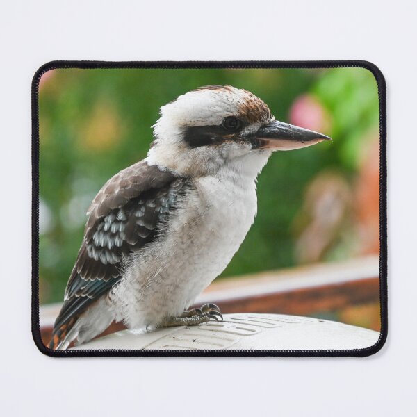 Item preview, Visiting Kookaburra designed and sold by GinaMarie-PV.