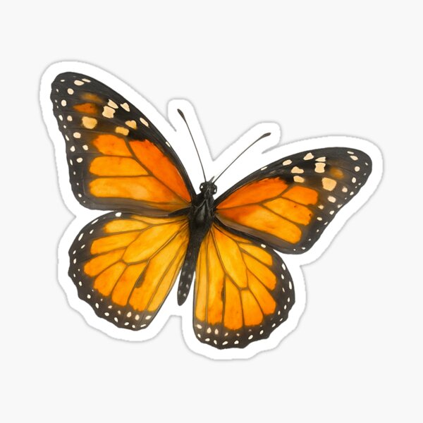 Vista previa del artículo con la obra «Mariposa Monarca en Acuarela», diseñado y vendido por VisualmenteCrudo.