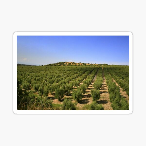 Item preview, Apulian landscape designed and sold by annalisa56.