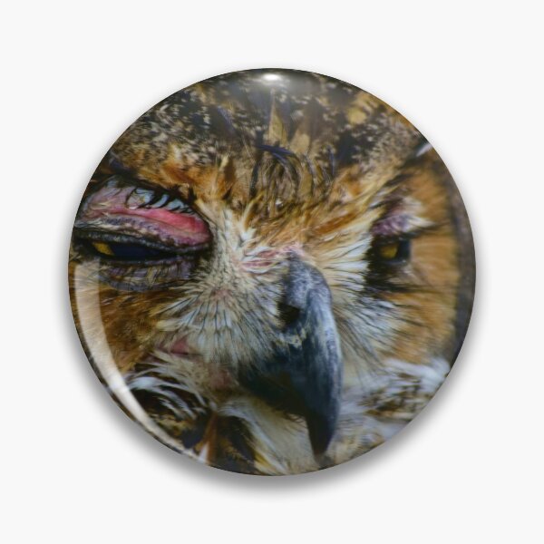 Item preview, Hoot Owl designed and sold by MercerImages.