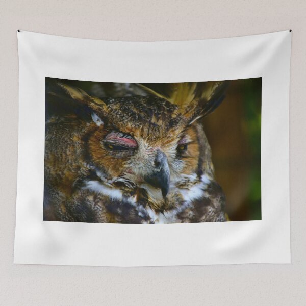 Item preview, Hoot Owl designed and sold by MercerImages.