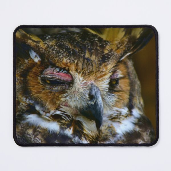 Item preview, Hoot Owl designed and sold by MercerImages.