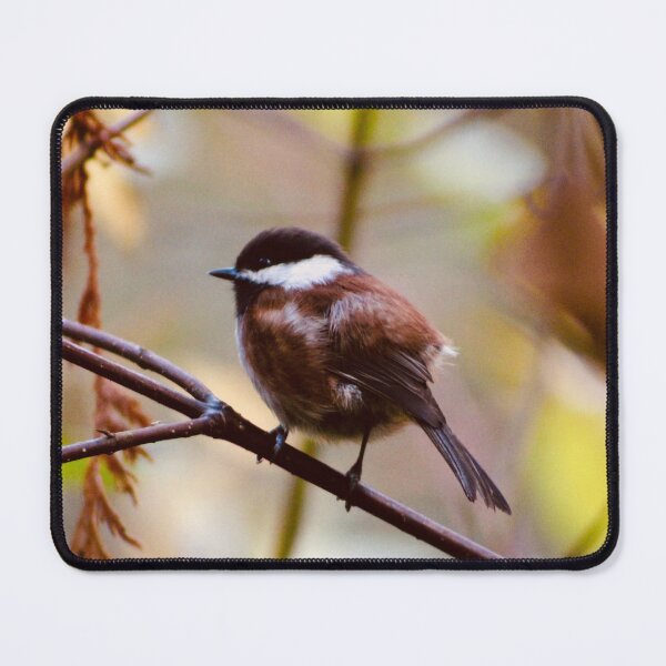 Item preview, Chestnut-backed Chickadee designed and sold by Pacific Northwest Birding.