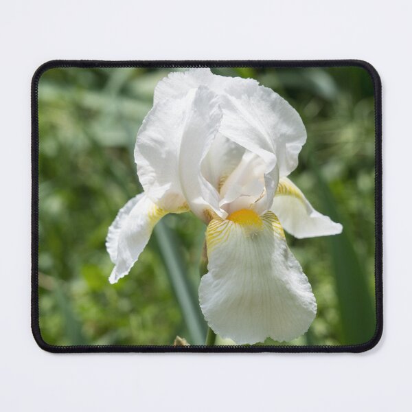 Item preview, Bridal White Iris Bloom designed and sold by Georgia Mizuleva.