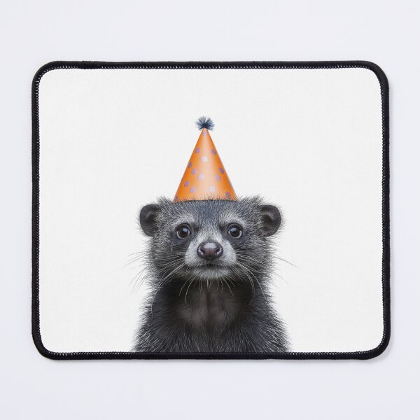 Item preview, Funny Binturong Wearing Birthday Party Hat designed and sold by LazyOwlStore.