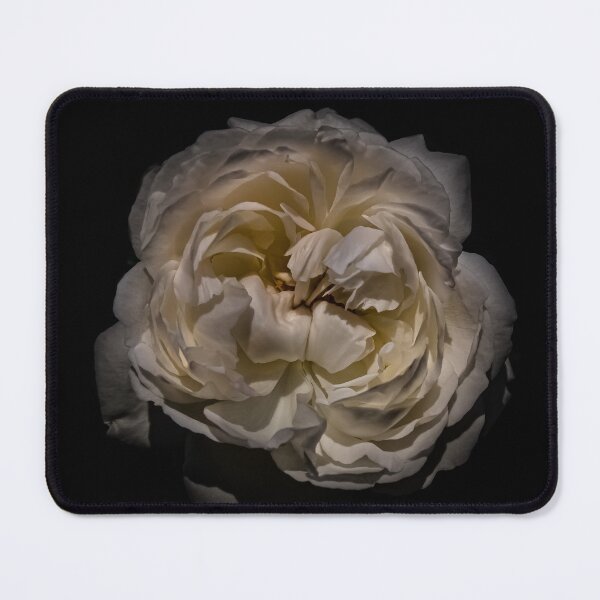 Item preview, Backyard Flowers No 137 Color Version designed and sold by The Learning Curve Photography.