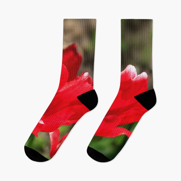 Item preview, Red tulips in spring garden designed and sold by olena2552.