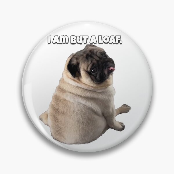 Item preview, I Am But A Loaf | Derpy Pug Sticker designed and sold by SpxrkyDesigns.