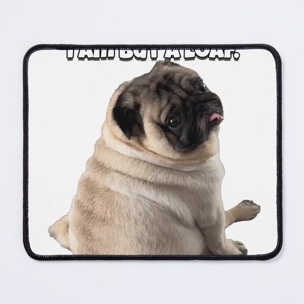 Item preview, I Am But A Loaf | Derpy Pug Sticker designed and sold by SpxrkyDesigns.