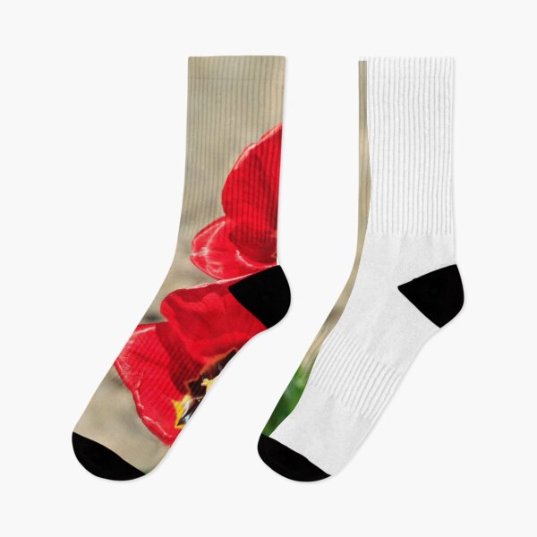 Item preview, Red tulips in spring garden designed and sold by olena2552.