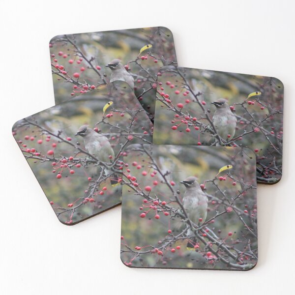 Item preview, Cedar Waxwing designed and sold by Pacific Northwest Birding.