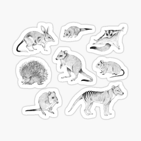 Item preview, Australian Wildlife Pattern designed and sold by Mousewren.
