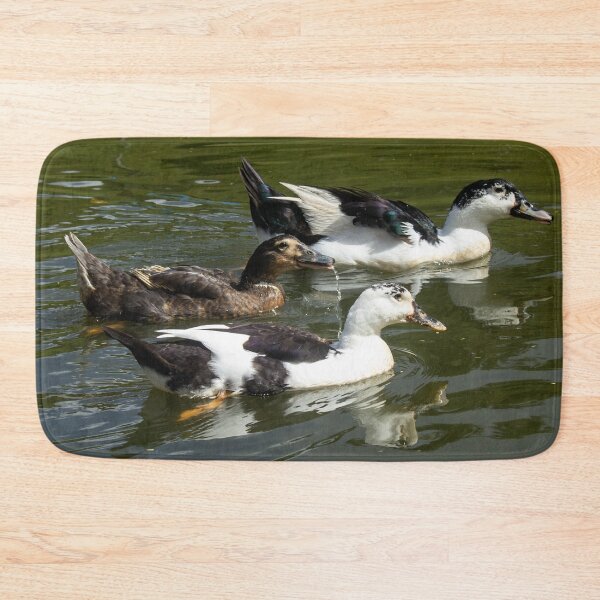 Item preview, Some geese on the lake designed and sold by felipequeiroz.