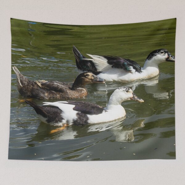 Item preview, Some geese on the lake designed and sold by felipequeiroz.