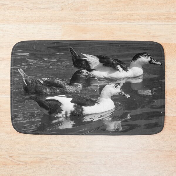 Item preview, Some geese on the lake 2 designed and sold by felipequeiroz.