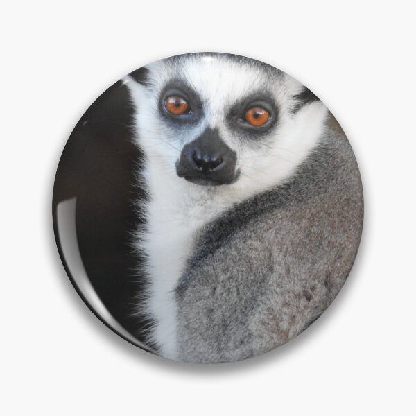 Item preview, Guardian of the Forest – The Gaze of the Ring-tailed Lemur designed and sold by Dunadagra.