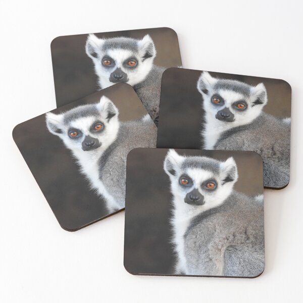 Item preview, Guardian of the Forest – The Gaze of the Ring-tailed Lemur designed and sold by Dunadagra.