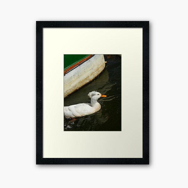 Item preview, oie blanche sur le lac designed and sold by felipequeiroz.