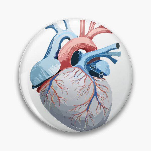 Item preview, Anatomy of the human heart designed and sold by Maupi.