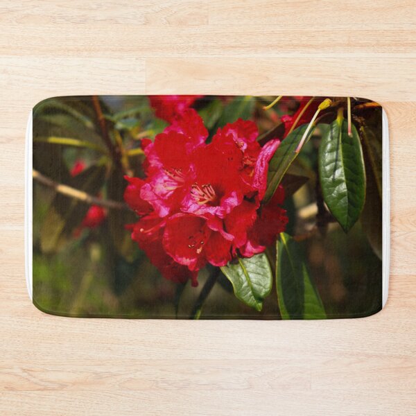 Item preview, Red Rhododendron Blossom in Spring designed and sold by sammbramm.