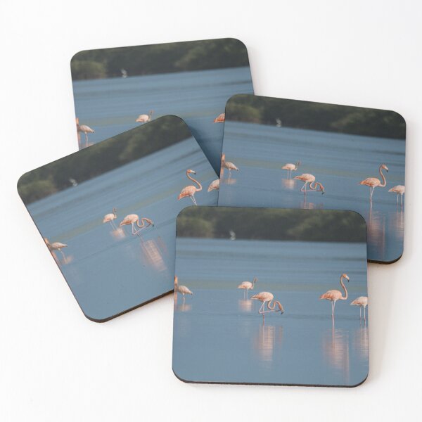 Item preview, American Flamingo designed and sold by EnglandEcology.