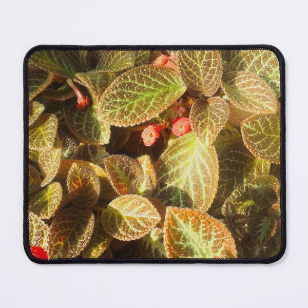 Item preview, Warm Feelings designed and sold by Elinda96.