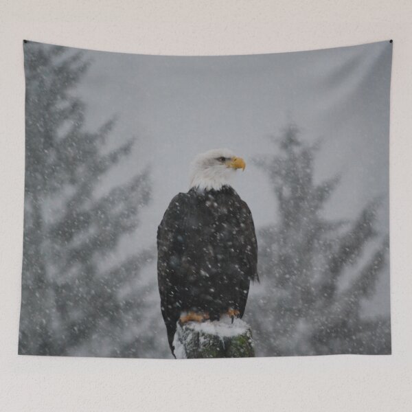 Item preview, Eagle in the Snow designed and sold by LokiKNEEL.
