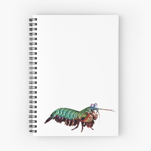 Item preview, Mantis Shrimp designed and sold by LillyLovesWildlife.