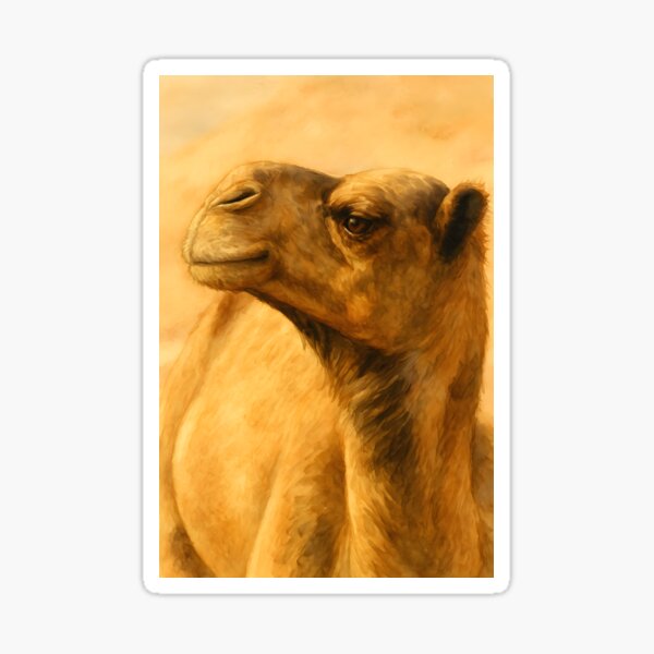 Item preview, Sahara Sentinel: Camel Portrait in the Desert Light designed and sold by Eye-Beauty.