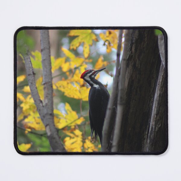 Item preview, Pileated Woodpecker designed and sold by Pacific Northwest Birding.