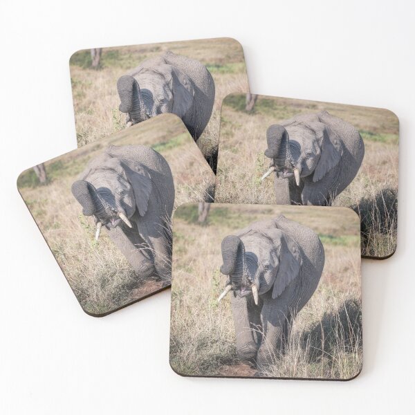 Item preview, Elephant Playing With Her Food Kenya designed and sold by PhotoArt by Joan Carroll.