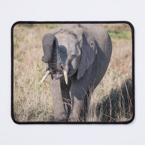 Item preview, Elephant Playing With Her Food Kenya designed and sold by PhotoArt by Joan Carroll.